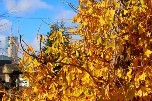 熊野福藏神社(福島県)