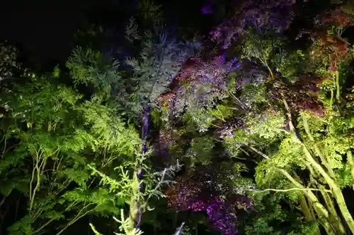 北広島市総鎮守　廣島神社(北海道)