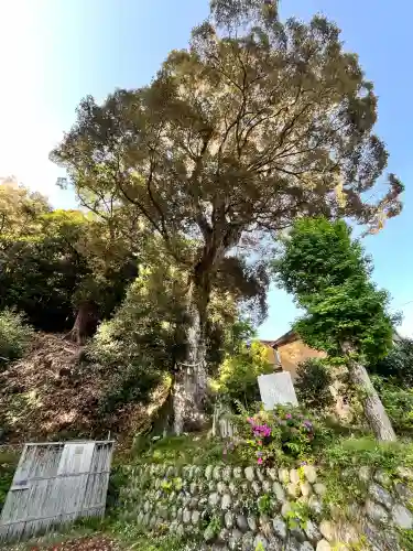 日枝神社(静岡県)