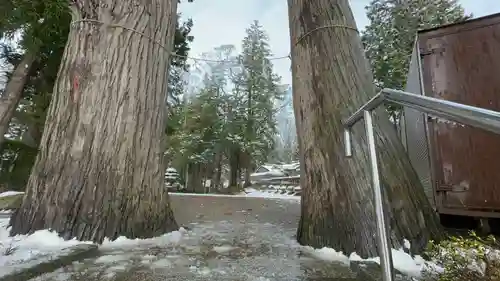 熊野神社(岩手県)