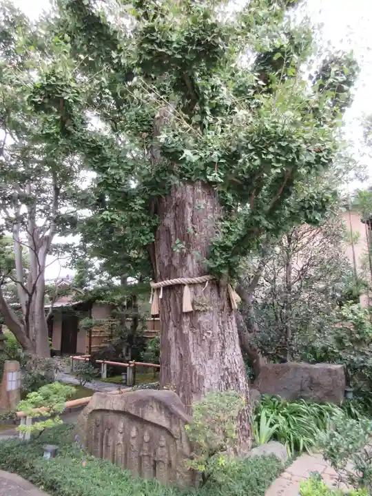 常性寺のその他建物