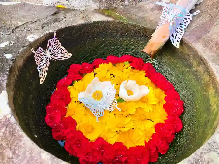 真言宗 善通寺派 薬王寺(香川県)