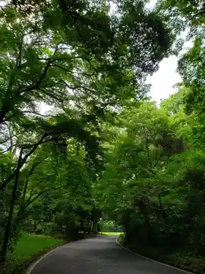 明治神宮の周辺