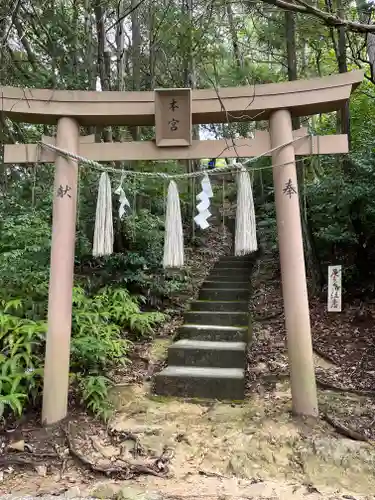 石上布都魂神社の御朱印