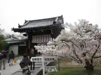 仁和寺の山門・神門