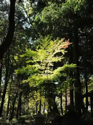 浄土寺(兵庫県)