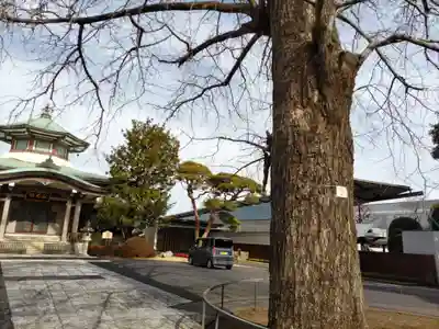 妙延寺のその他建物