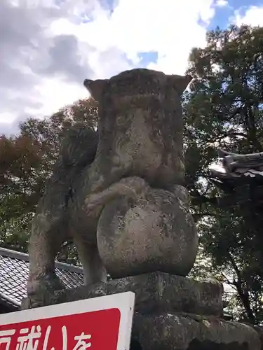 素盞嗚神社の狛犬