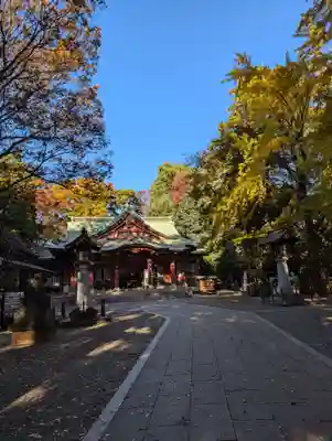 世田谷八幡宮(東京都)
