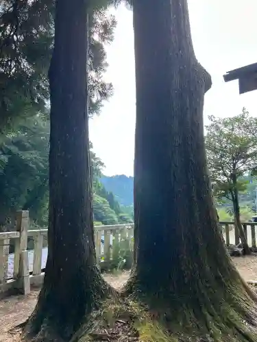 天一神社(奈良県)
