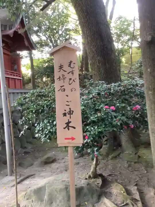 堤治神社の自然