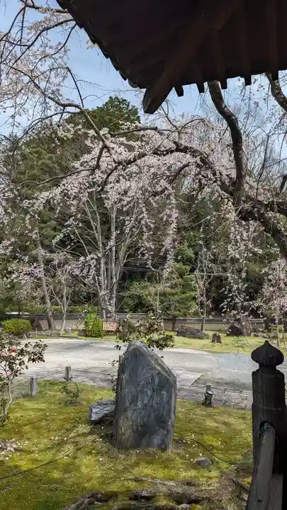 妙満寺(京都府)