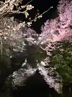 眞田神社の自然