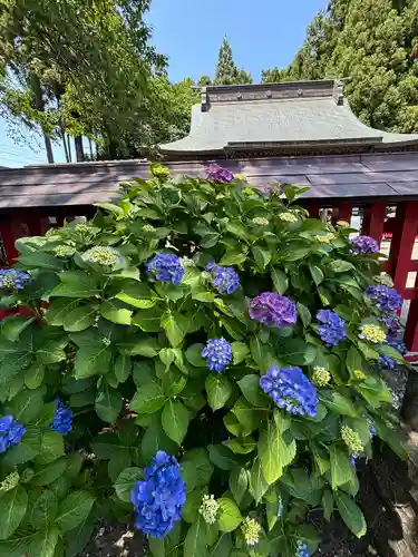 中田神社(宮城県)