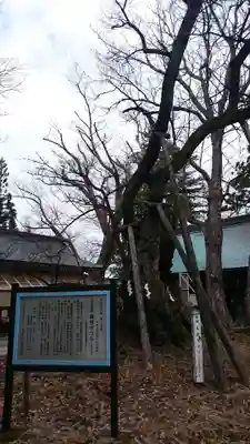 蠶養國神社のその他建物