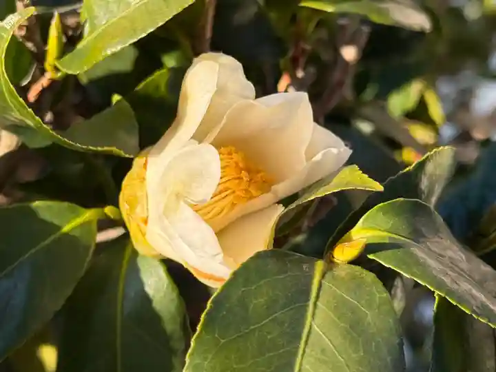 西方山極楽寺(岐阜県)