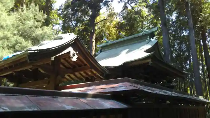 丹生神社の本殿・本堂