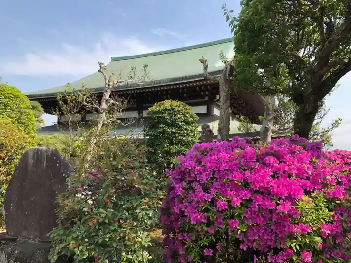 成田山新勝寺(千葉県)
