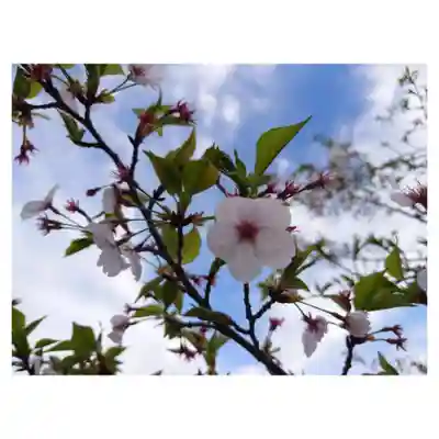 岐阜稲荷山本社(岐阜県)