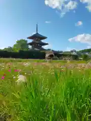 法起寺(奈良県)