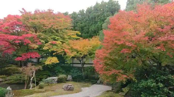 御寺 泉涌寺の庭園