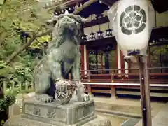 杭全神社の狛犬