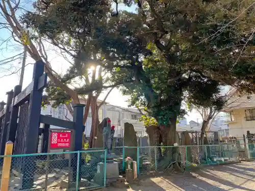 円通寺(東京都)