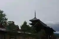 東寺(教王護国寺)の塔
