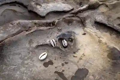 青島神社（青島神宮）(宮崎県)