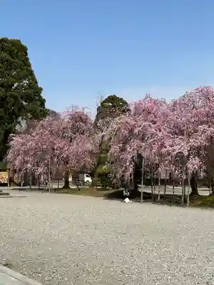 富山縣護國神社(富山県)