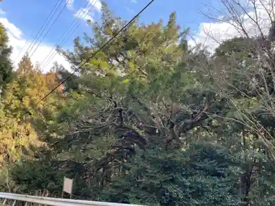 熊野神社(滋賀県)