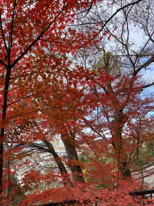 金剛宝寺(紀三井寺)(和歌山県)