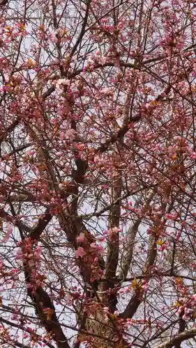 相馬神社の自然