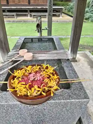 横浜 西方寺の手水舎