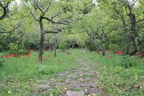 観心寺の自然