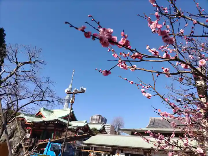 亀戸天神社(東京都)