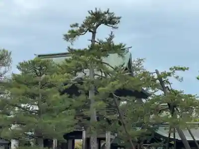 白山神社(新潟県)