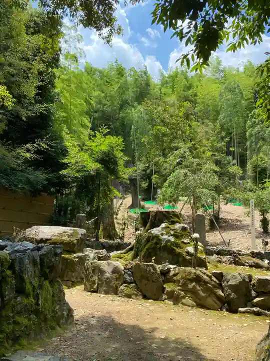 地蔵院(京都府)