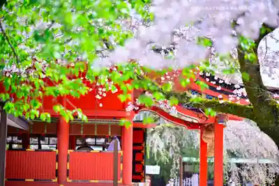 富士山本宮浅間大社(静岡県)