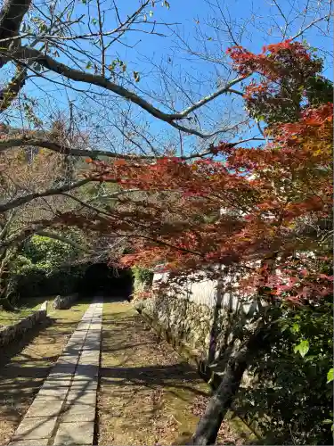 勝持寺（花の寺）(京都府)