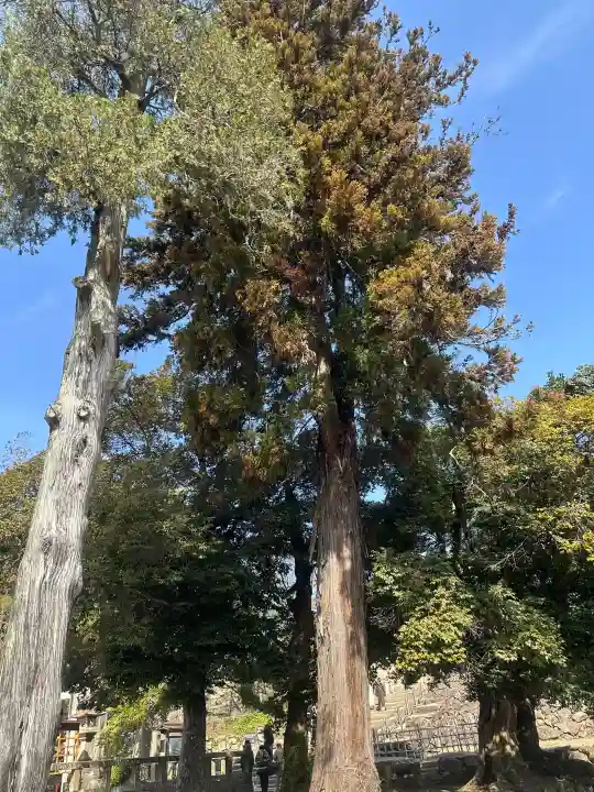松江神社の{uncategorized: "未分類", other: "その他", undefined: "問題あり", building: "その他建物", grave: "お墓", sacred_gate: "鳥居", guardian: "狛犬", statue: "像", buddha: "仏像", history: "歴史", nature: "自然", garden: "庭園", animal: "動物", pagoda: "塔", temizu: "手水舎", mountain_gate: "山門・神門", sanctuary: "本殿・本堂", subordinate: "末社・摂社", art: "芸術", scenery: "景色", jizo: "地蔵", ema: "絵馬", goshuin: "御朱印", omikuji: "おみくじ", items: "授与品その他", amulet: "お守り", goshuincho: "御朱印帳", eats: "食事", festival: "お祭り", votive_dance: "神楽", shichigosan: "七五三参", wedding: "結婚式", experience: "体験その他", initially: "初詣", around: "周辺", anti_infection: "感染症対策"}