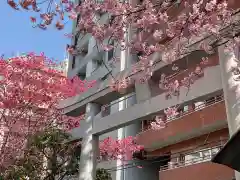 蔵前神社(東京都)