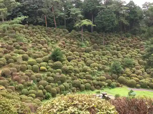 塩船観音寺の庭園