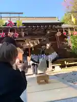 滑川神社 - 仕事と子どもの守り神(福島県)