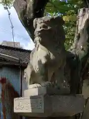 若宮八幡社の狛犬