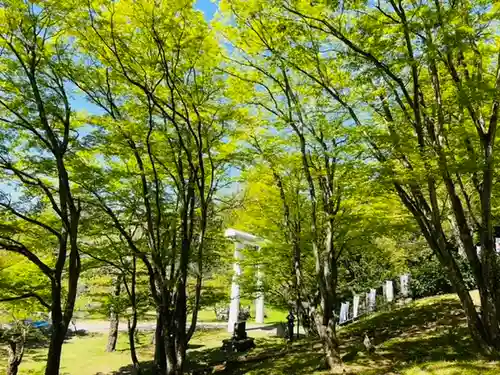 土津神社｜こどもと出世の神さまの自然