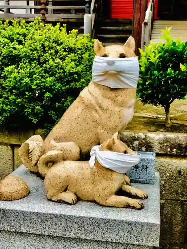 不動院(板橋不動尊)の狛犬