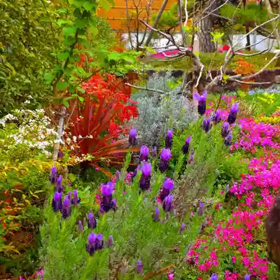 寿量山 速成寺(奈良県)