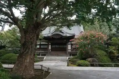 高円寺の本殿・本堂