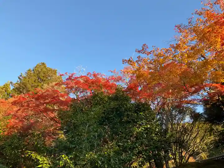霊鑑寺門跡(京都府)
